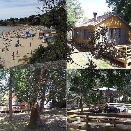 La Palombiere, Plage A 150M Meschers-sur-Gironde Exteriér fotografie